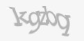 Защитный код