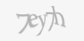 Защитный код