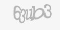 Защитный код