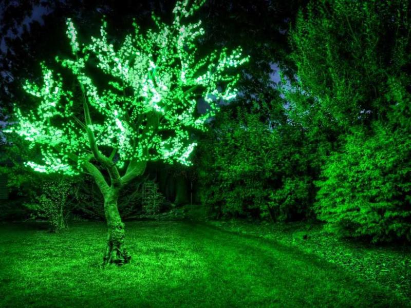 Уличные световые деревья 