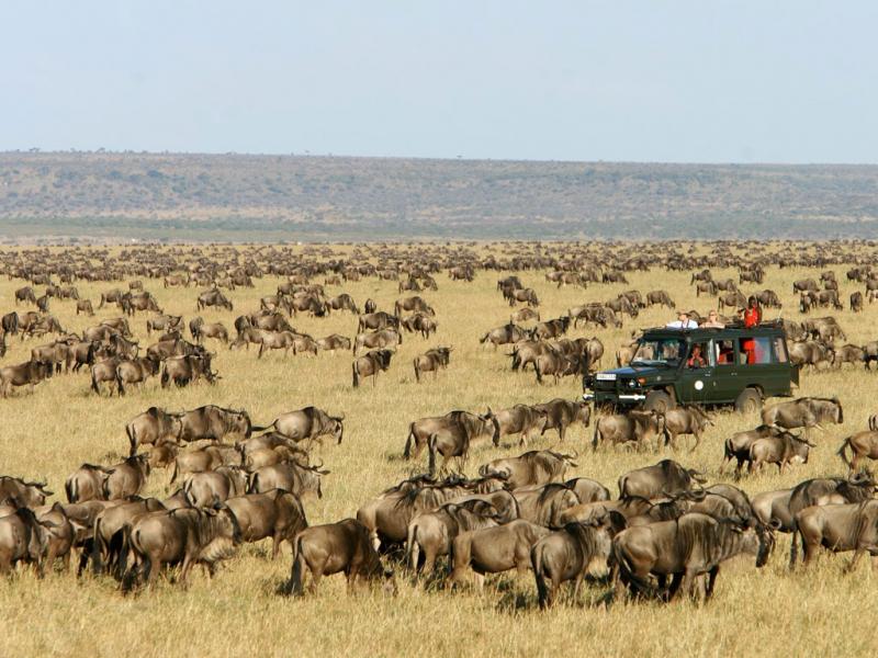 Description of Masai Mara